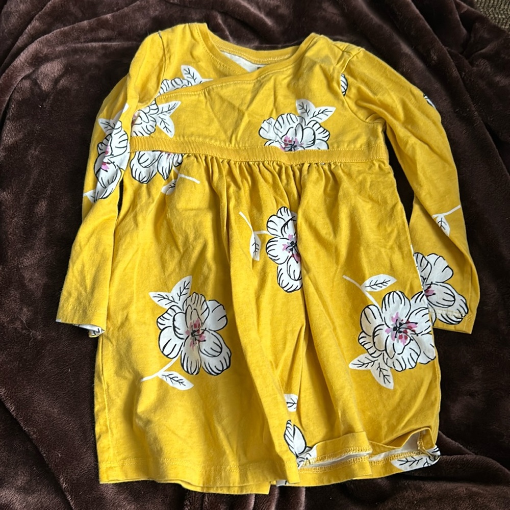 ea Collection long sleeve 2t dress